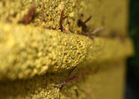 Close up of A Frame showing pine needles embedded