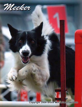 Meeker
Jumping the First Red Jump