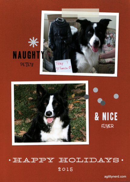 Naughty and Nice Petey and Flyer