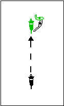 Basic Recall to Heel