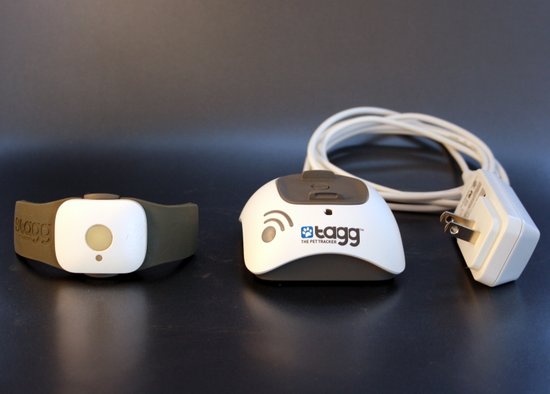 Tagg Pet Tracker Review AgilityNerd