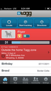 Tagg App Status Screen