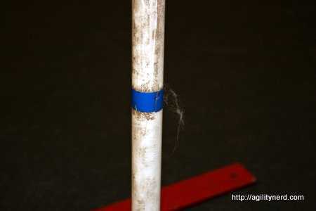 Dog Hair Pulled Out by Tape on Weave Pole