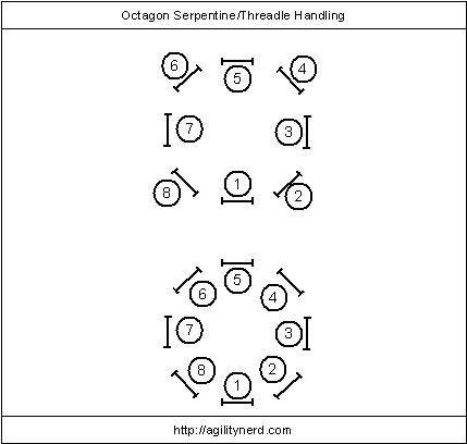 Octagon Sequences