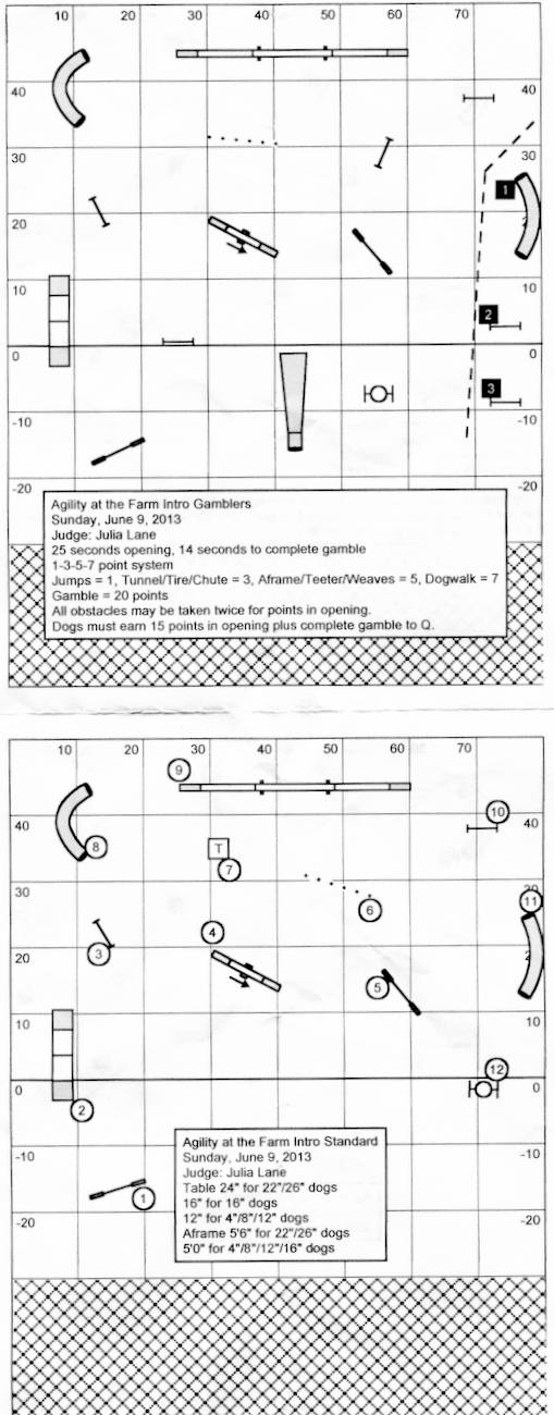 Intro Gamblers/Standard Courses