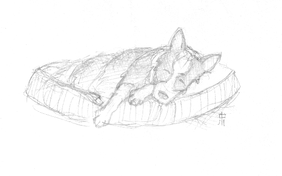 Sketch of Milo Sleeping