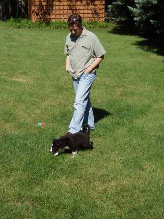 Puppy walking with Dad